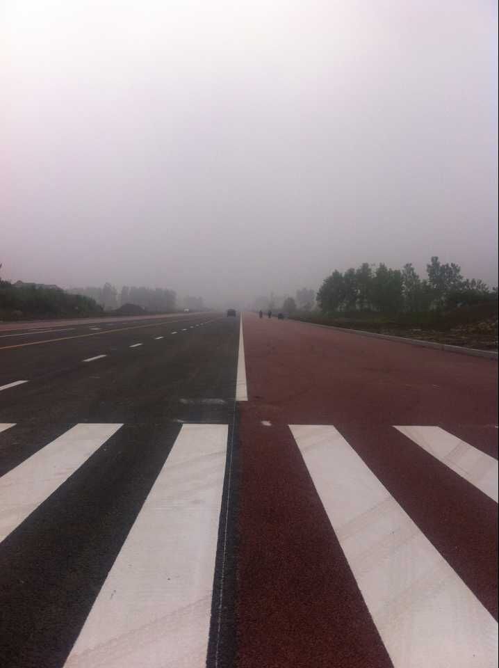 金湖縣城南干道(人民南路-黎農(nóng)河)道路、排水及污水管道工程